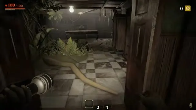 Invokyr how to play: jungle plants and a checkered hallway beyond the game-room doorway after the first roll